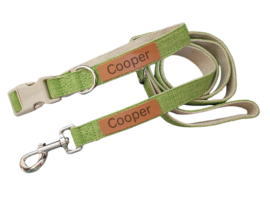 Everyday Walk Collar & Leash Set