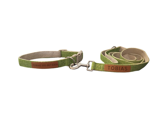 Everyday Walk Collar & Leash Set