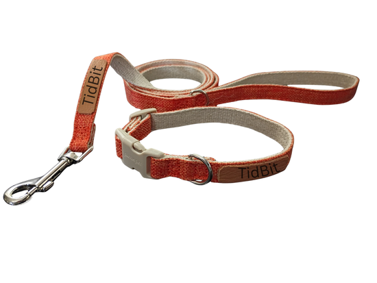 Everyday Walk Collar & Leash Set