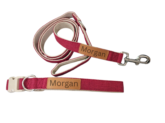 Everyday Walk Collar & Leash Set