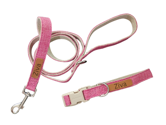 Everyday Walk Collar & Leash Set