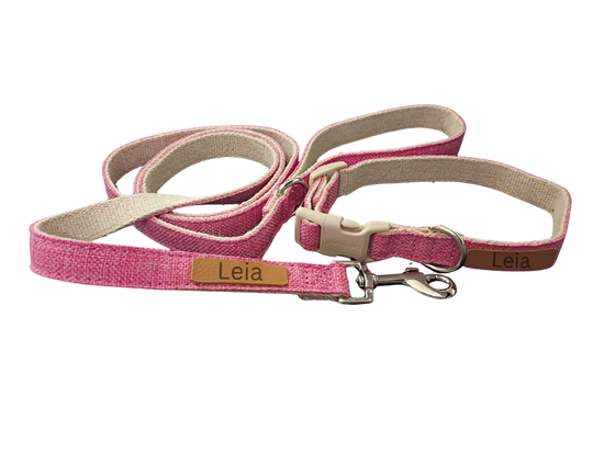 Everyday Walk Collar & Leash Set