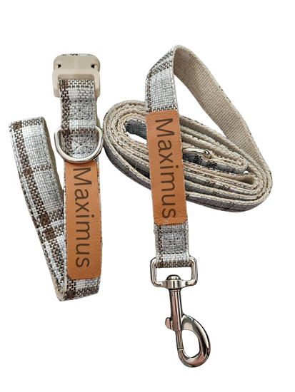 Everyday Walk Collar & Leash Set