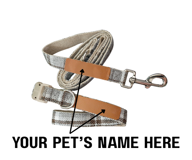 Everyday Walk Collar & Leash Set