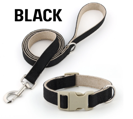Everyday Walk Collar & Leash Set