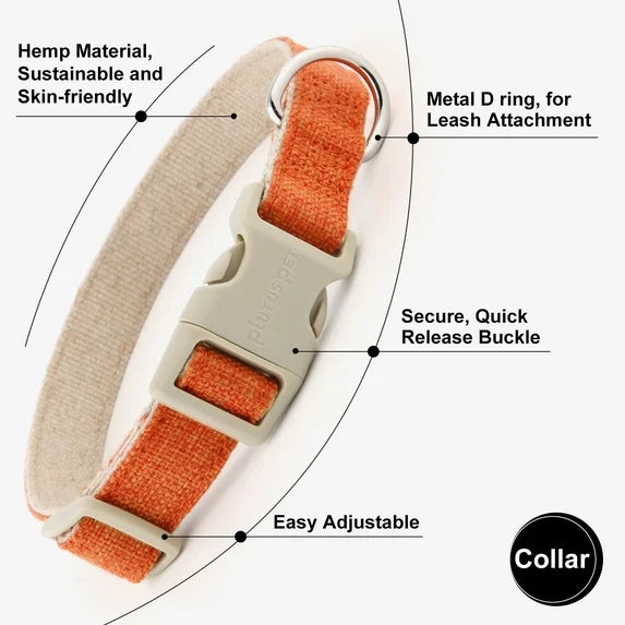 Everyday Walk Collar & Leash Set