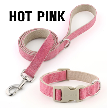 Everyday Walk Collar & Leash Set