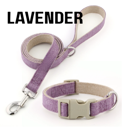 Everyday Walk Collar & Leash Set
