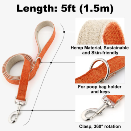 Everyday Walk Collar & Leash Set