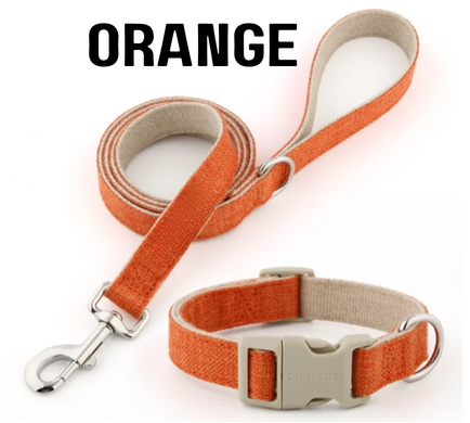 Everyday Walk Collar & Leash Set