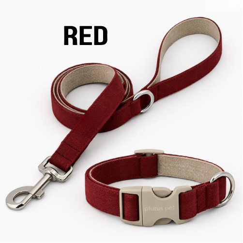 Everyday Walk Collar & Leash Set